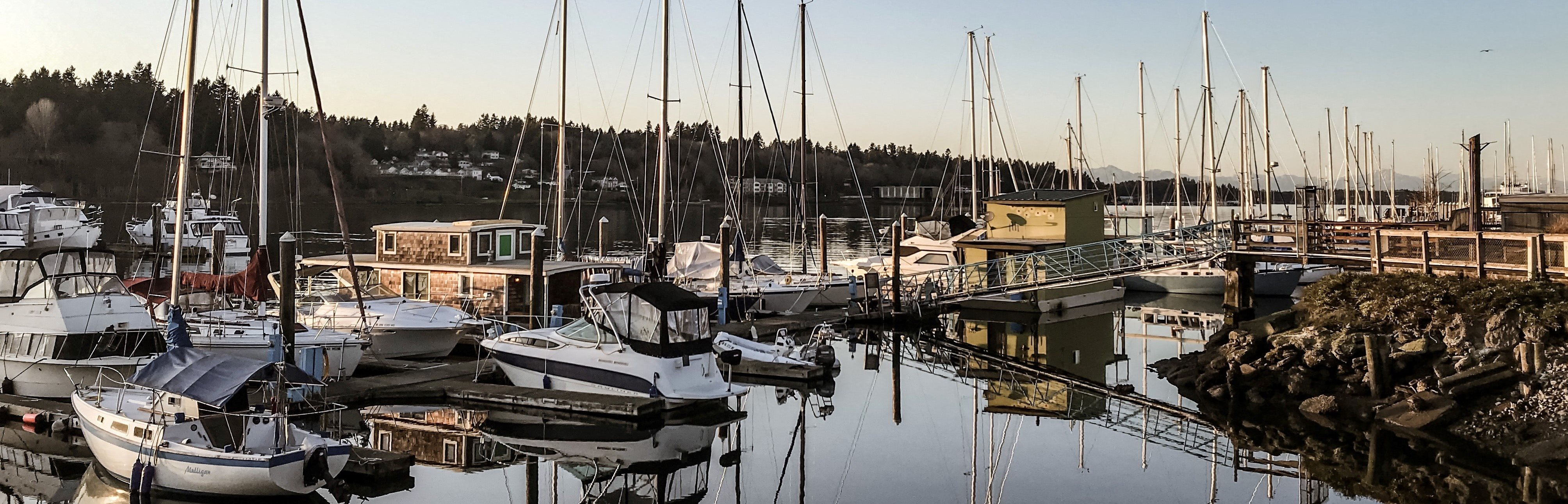 a marina filled with lots of boats, tree line in the background at Capitol Crossing, Olympia, 98501